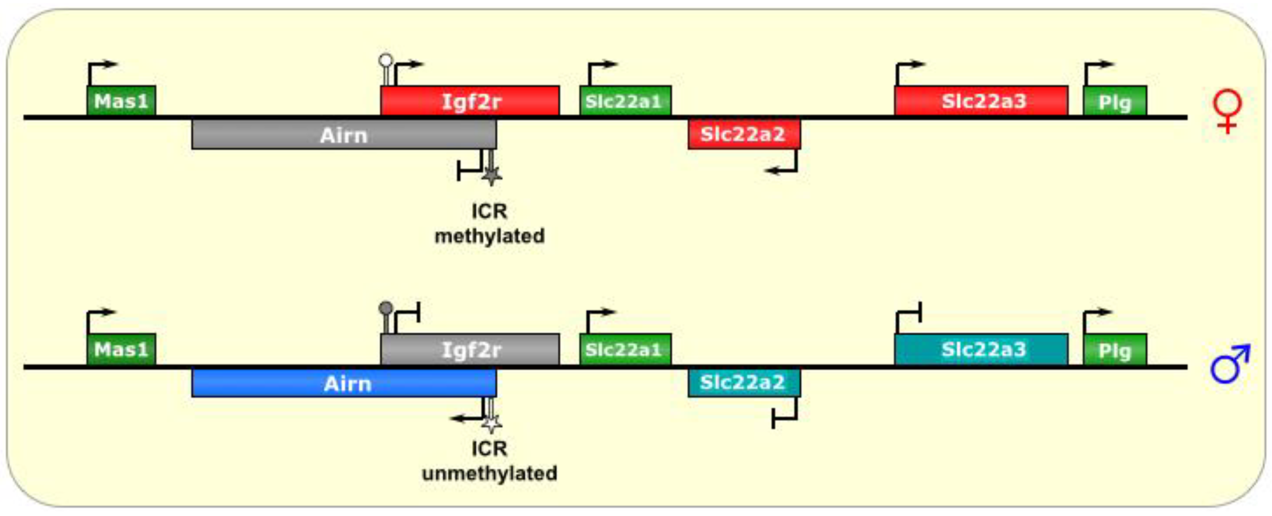 Biomolecules 04 00076 g004