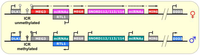 Biomolecules 04 00076 g006 200