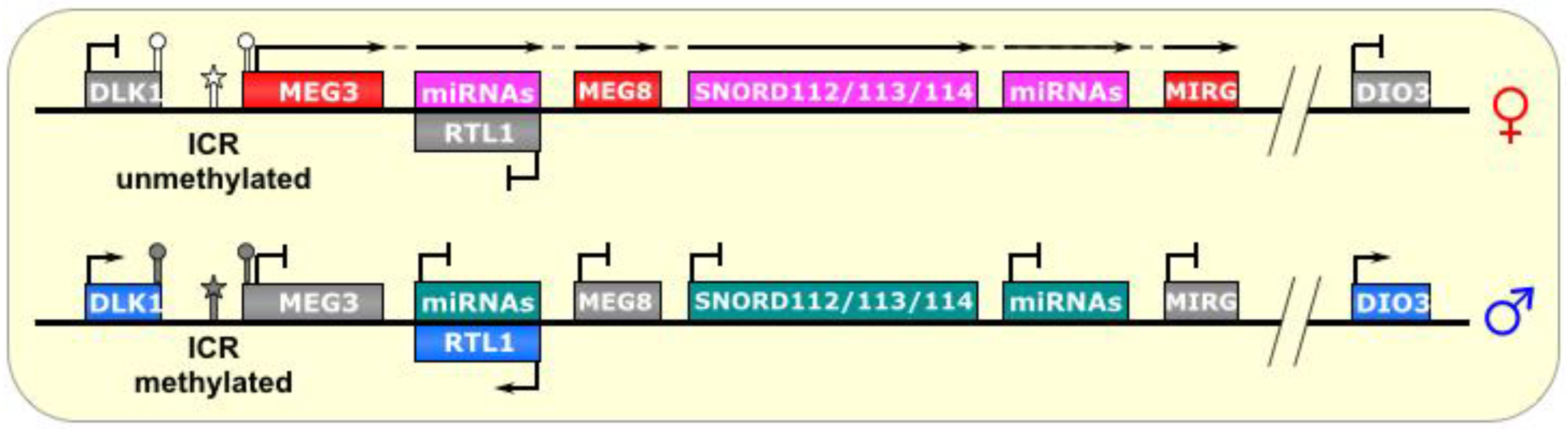 Biomolecules 04 00076 g006