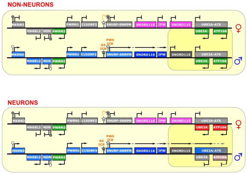 Biomolecules 04 00076 g007 1024