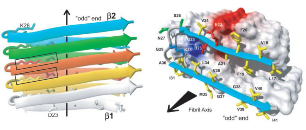 Biomolecules 04 00101 g001 1024