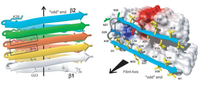Biomolecules 04 00101 g001 200