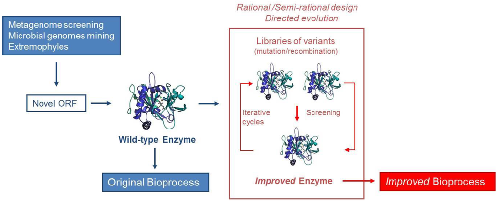 Biomolecules 04 00117 g001 1024