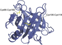 Biomolecules 04 00202 g001 200