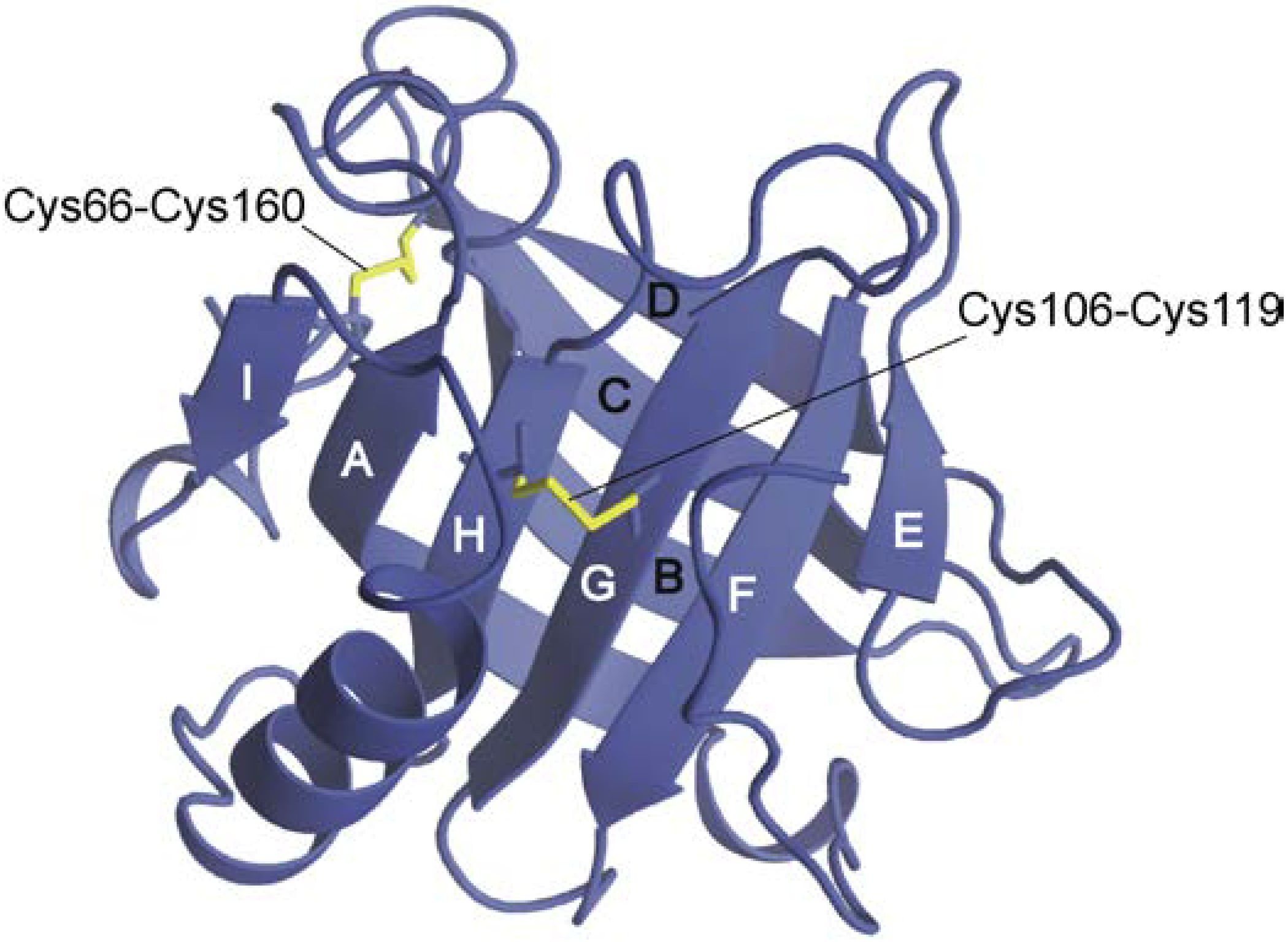 Biomolecules 04 00202 g001