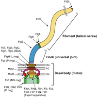 Biomolecules 04 00217 g001 200