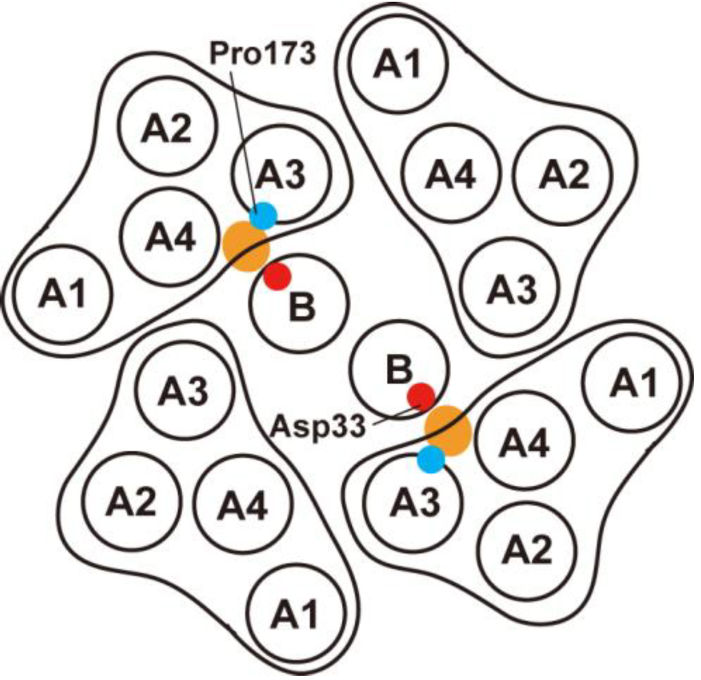 Biomolecules 04 00217 g004 1024