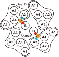 Biomolecules 04 00217 g004 200