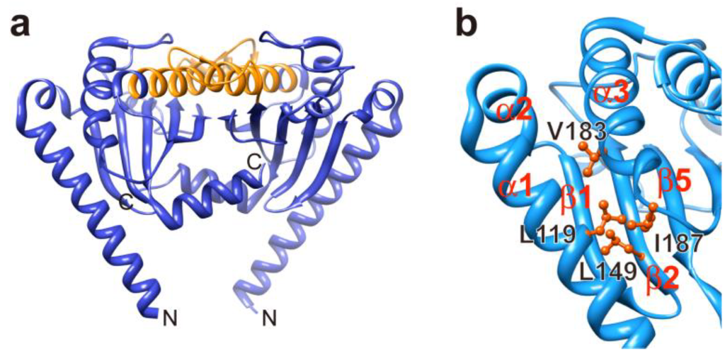 Biomolecules 04 00217 g005 1024