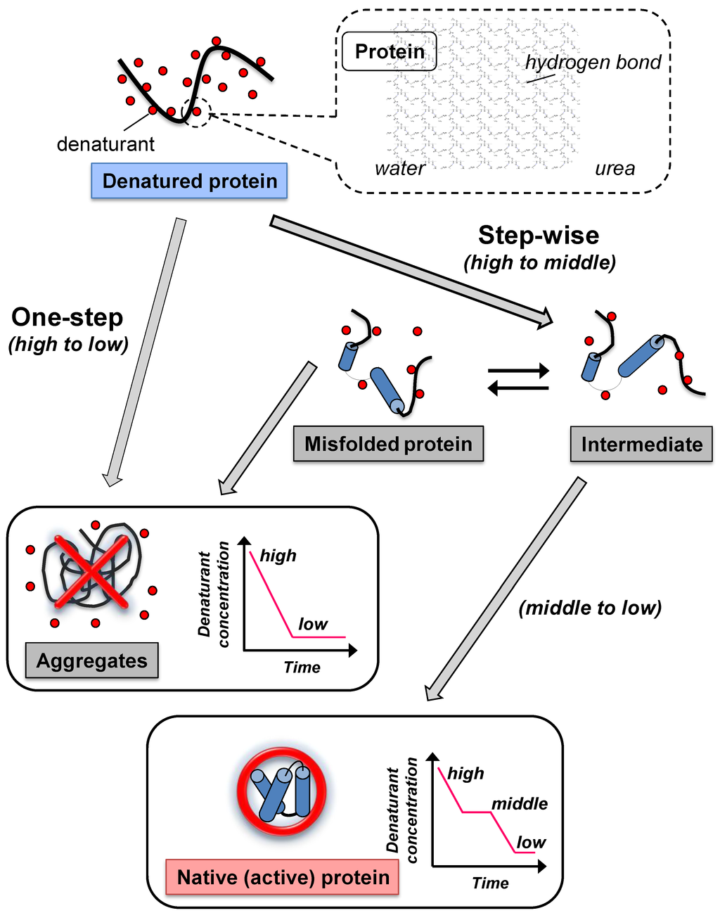 Biomolecules 04 00235 g001 1024