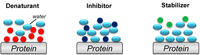 Biomolecules 04 00235 g003 200
