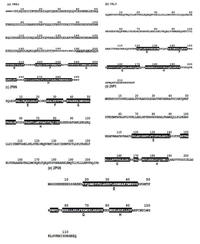Biomolecules 04 00268 g005 200