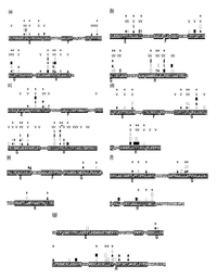 Biomolecules 04 00268 g008 200