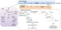 Biomolecules 04 00315 g001 200