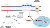 Biomolecules 04 00315 g003 200
