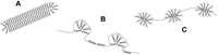 Biomolecules 04 00354 g002 200