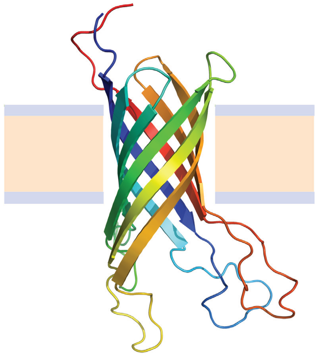 Biomolecules 04 00354 g005 1024