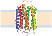 Biomolecules 04 00354 g006 200