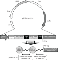 Biomolecules 04 00390 g001 200