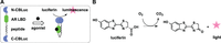 Biomolecules 04 00402 g002 200