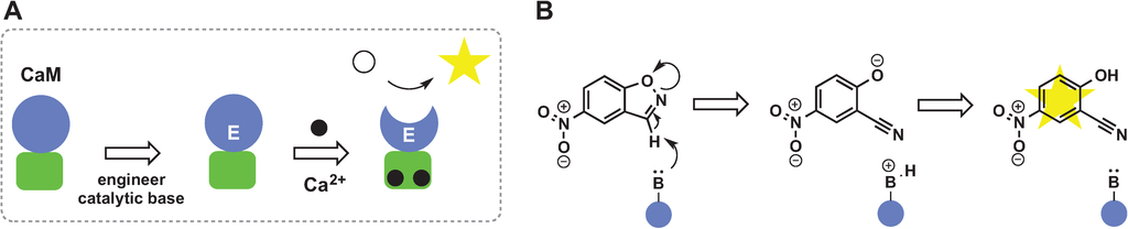 Biomolecules 04 00402 g006 1024
