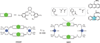 Biomolecules 04 00402 g008 200