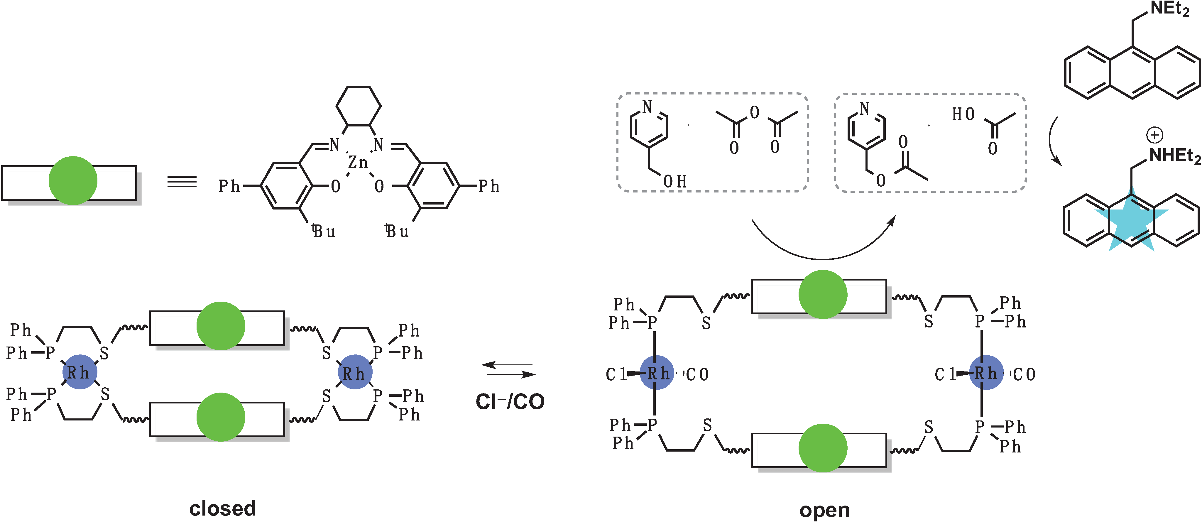 Biomolecules 04 00402 g008