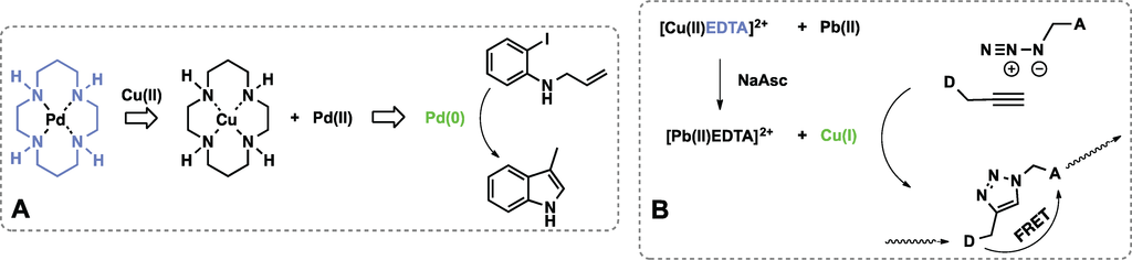 Biomolecules 04 00402 g009 1024