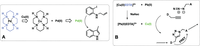 Biomolecules 04 00402 g009 200