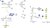 Biomolecules 04 00402 g010 200