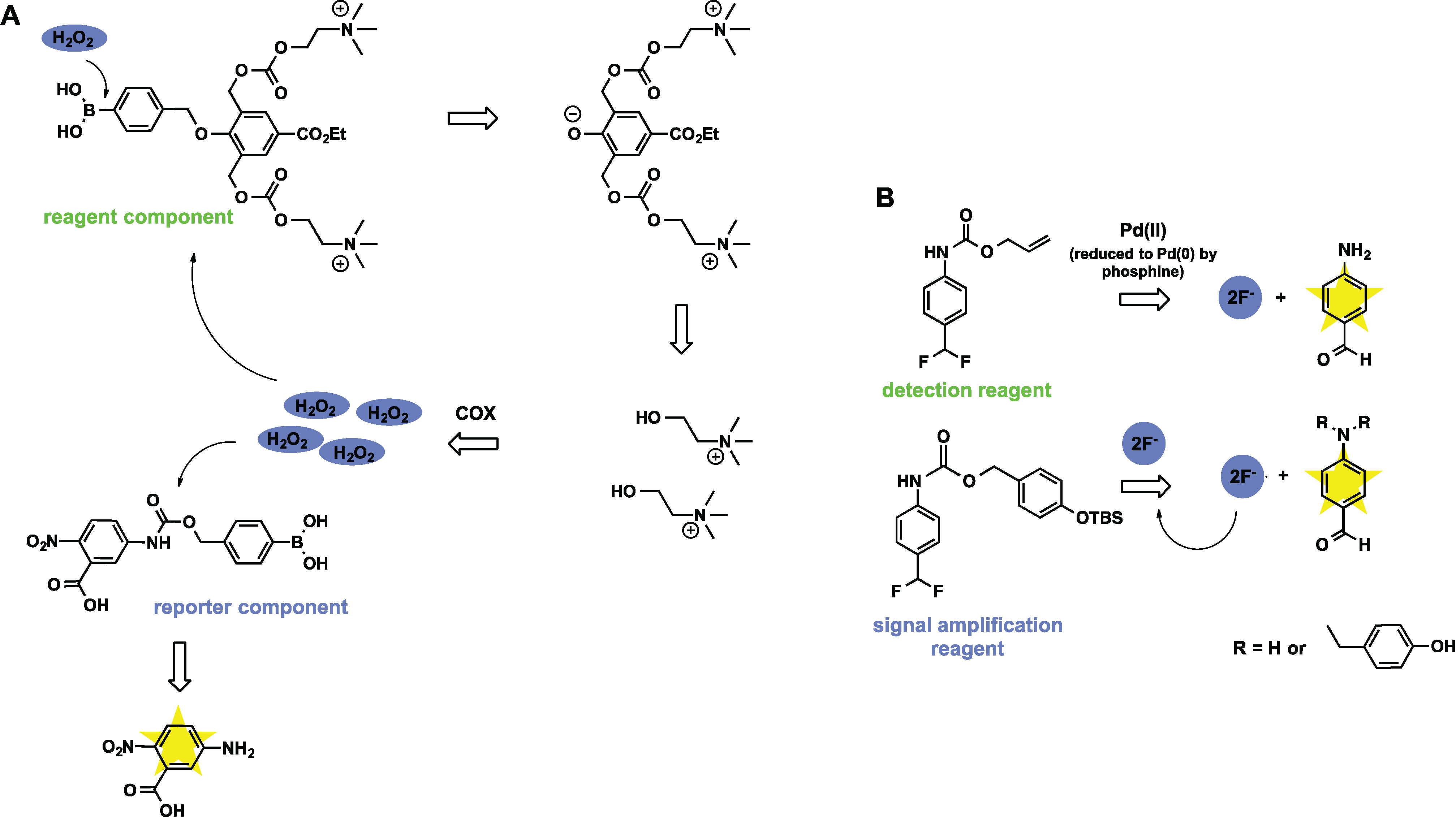 Biomolecules 04 00402 g010