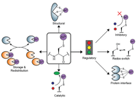 Biomolecules 04 00419 g001 200
