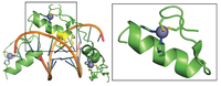 Biomolecules 04 00419 g002 200