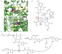 Biomolecules 04 00419 g003 200