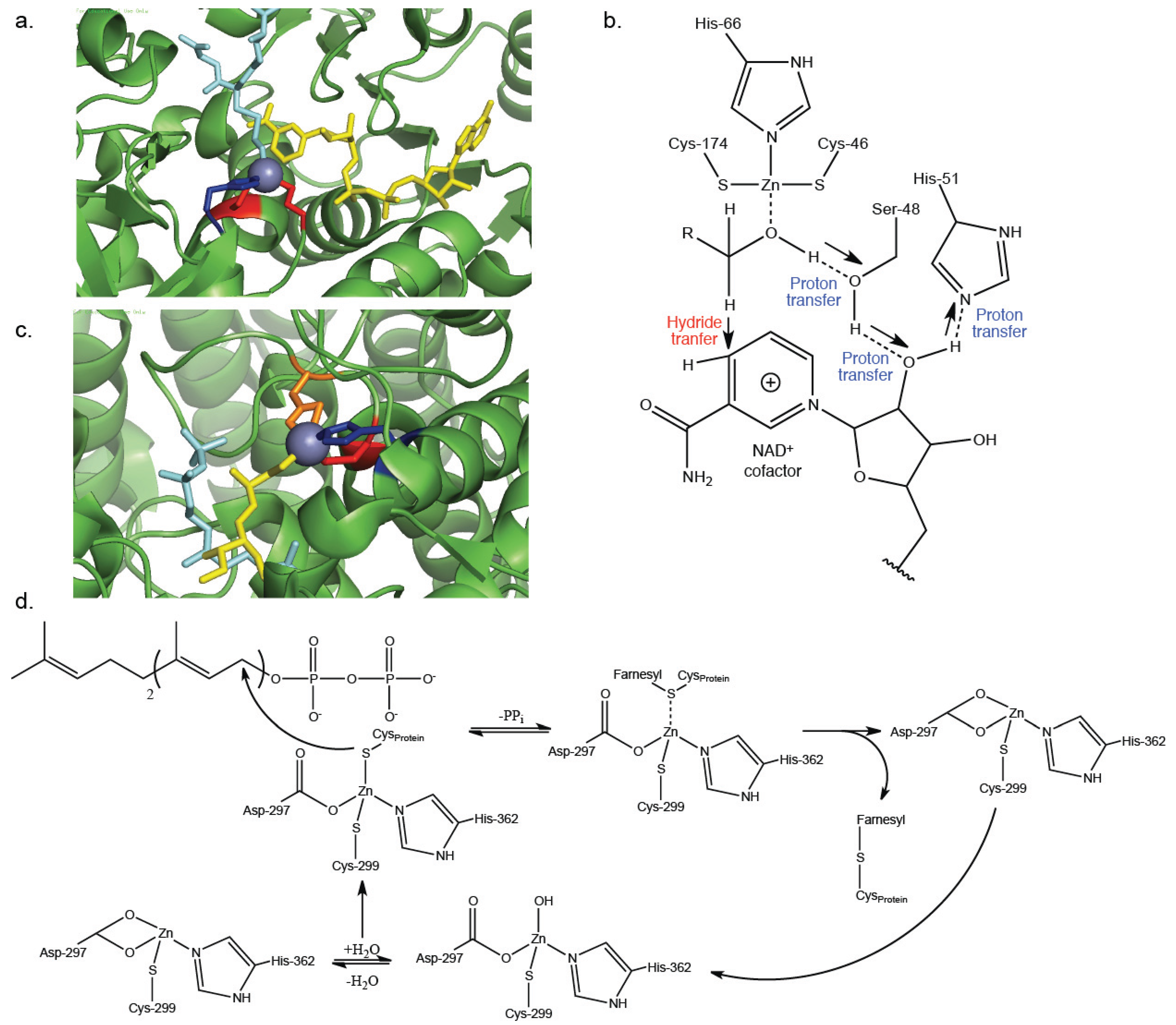 Biomolecules 04 00419 g003