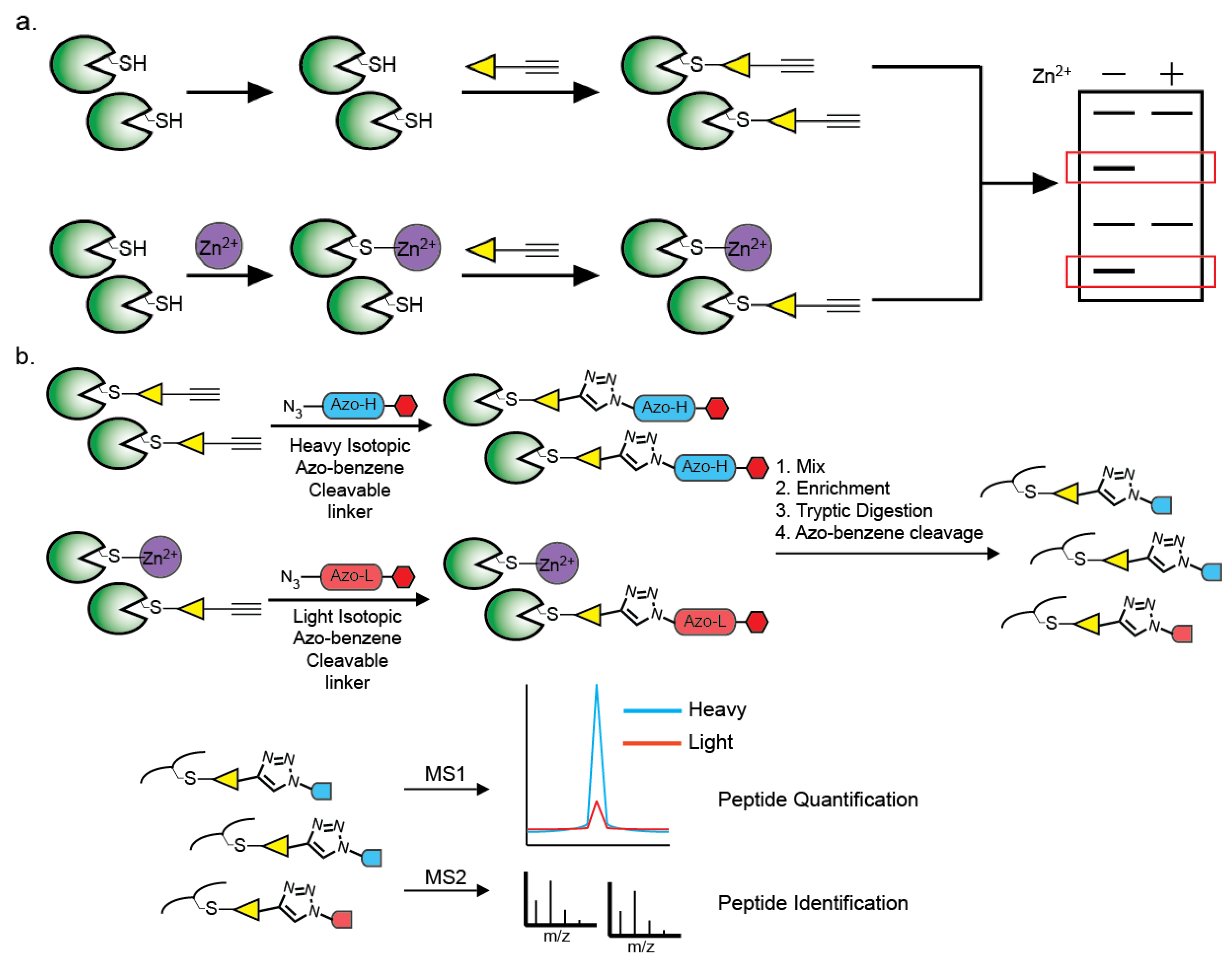 Biomolecules 04 00419 g005