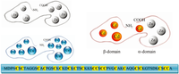 Biomolecules 04 00435 g002 200