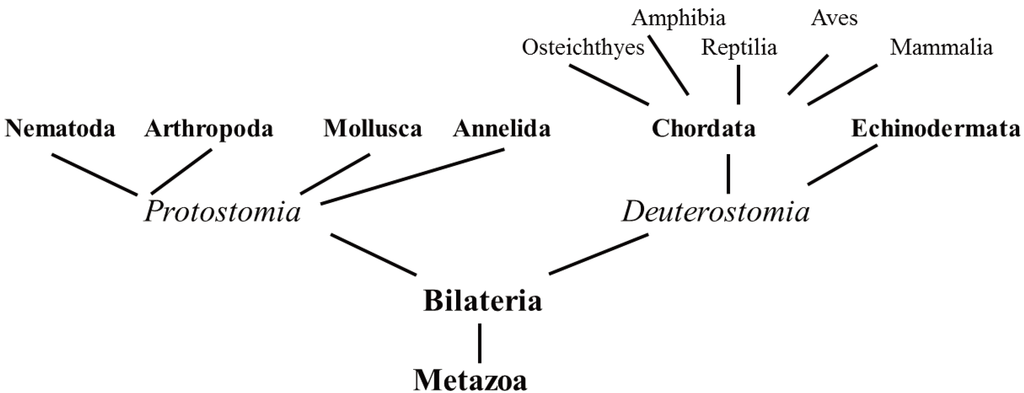 Biomolecules 04 00435 g004 1024