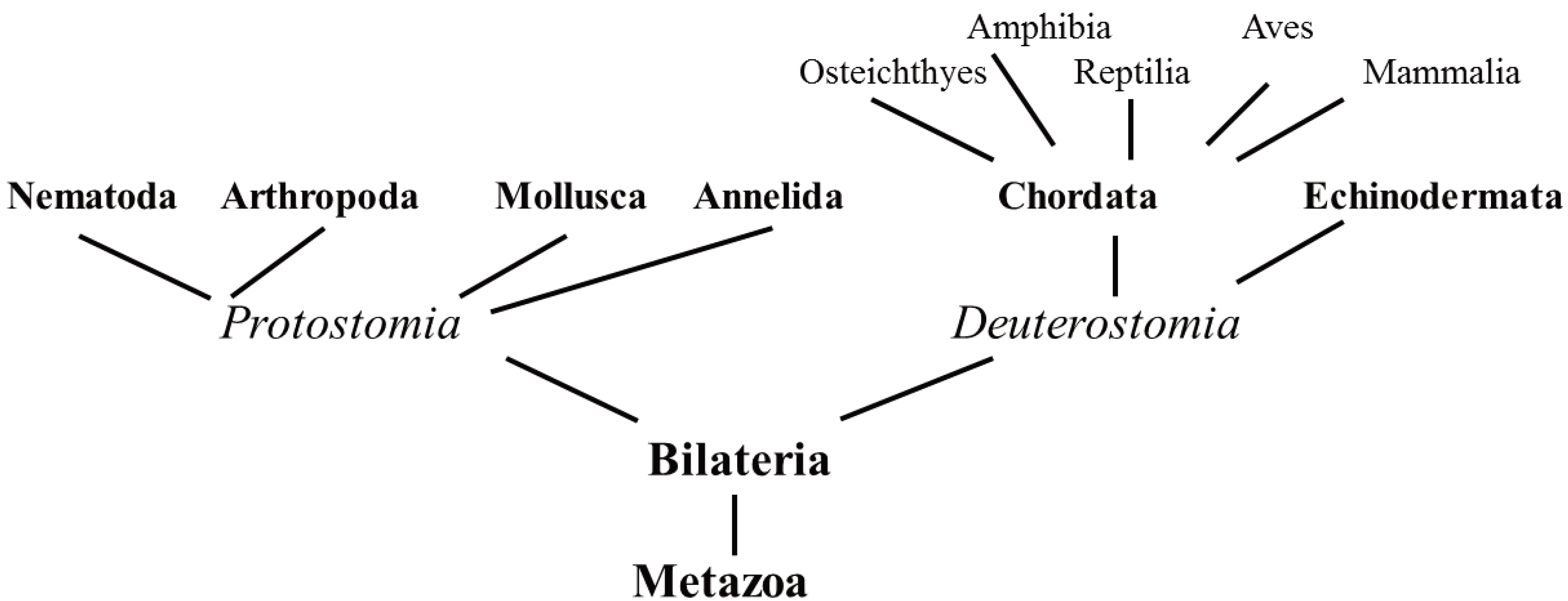 Biomolecules 04 00435 g004