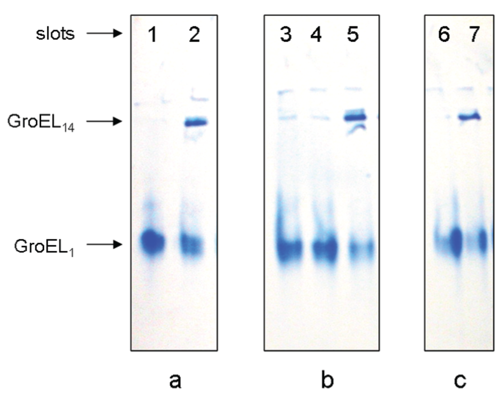 Biomolecules 04 00458 g003 1024