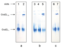 Biomolecules 04 00458 g003 200