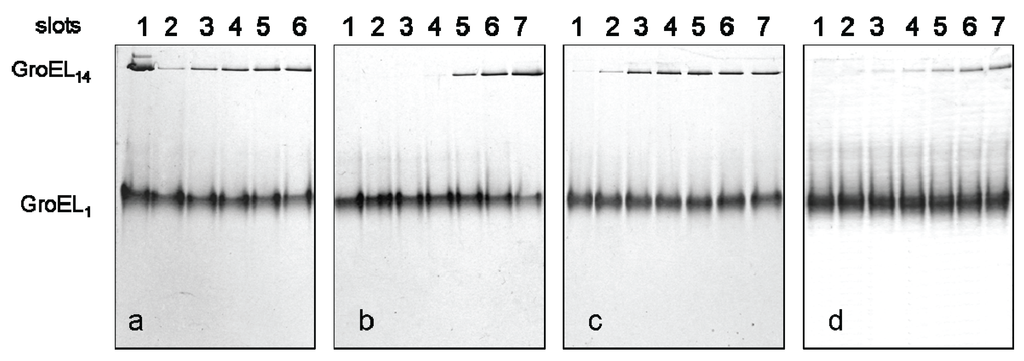 Biomolecules 04 00458 g004 1024