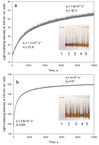 Biomolecules 04 00458 g005 200