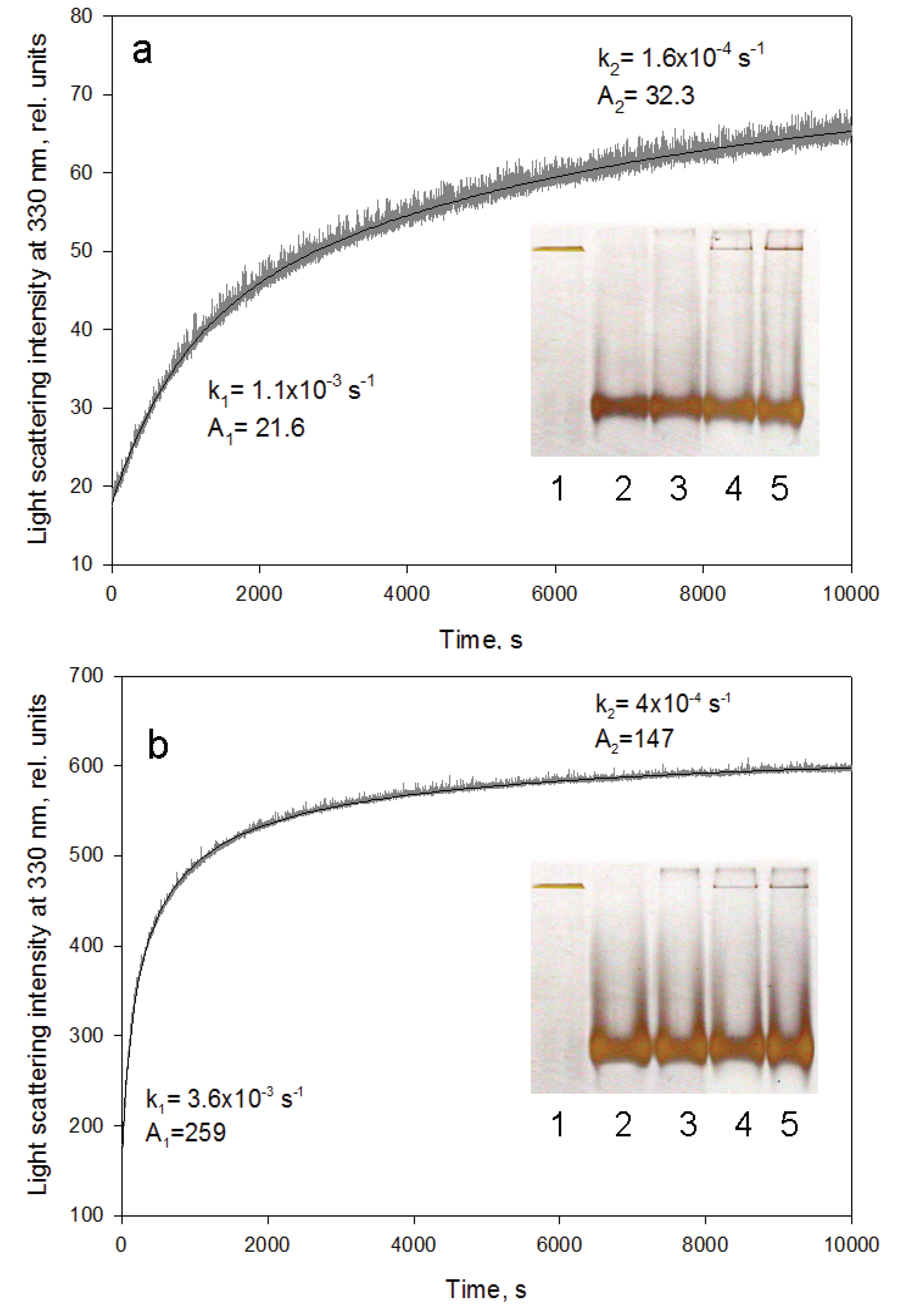 Biomolecules 04 00458 g005