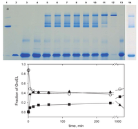Biomolecules 04 00458 g008 200