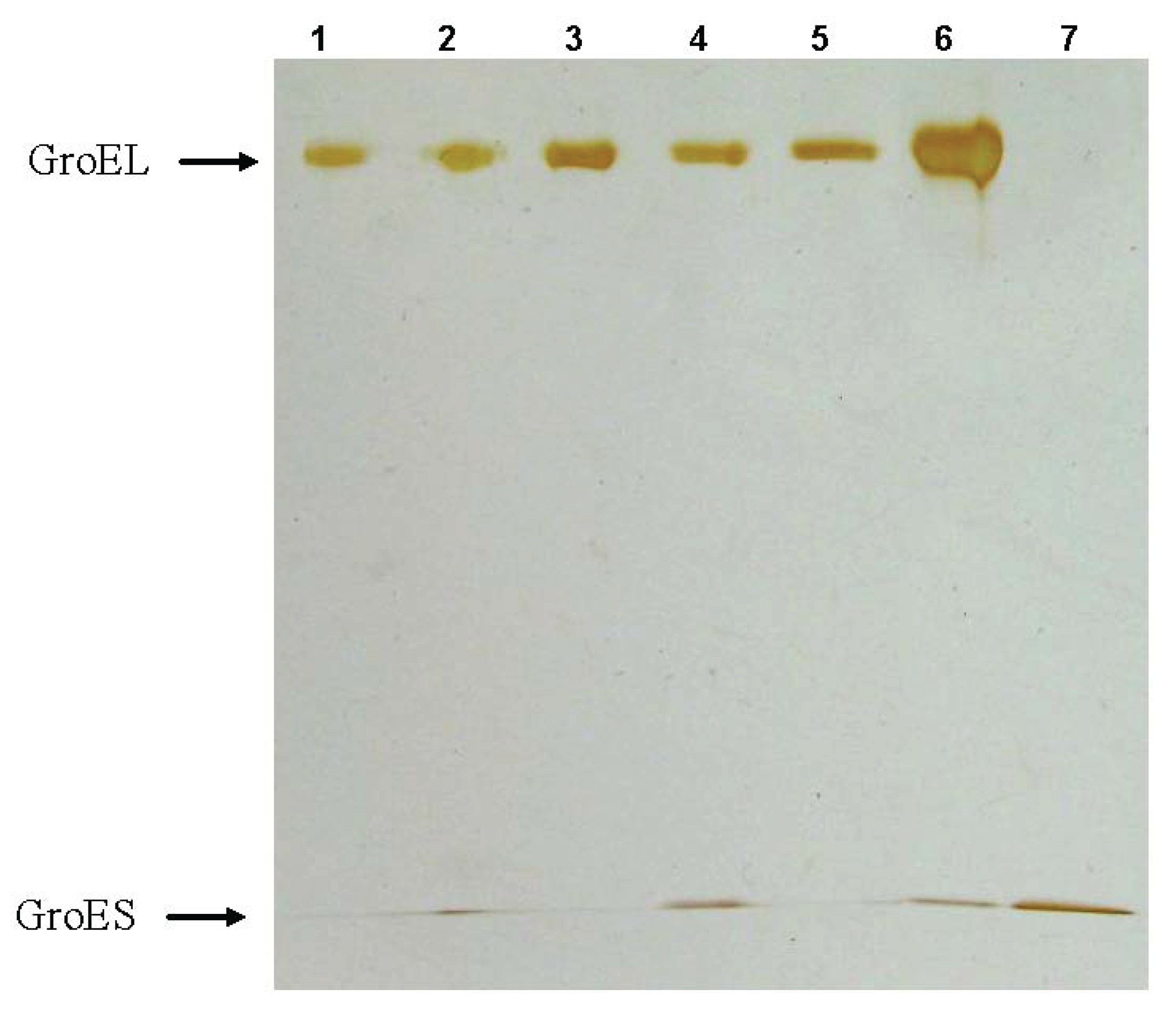 Biomolecules 04 00458 g009