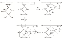 Biomolecules 04 00474 g001 200