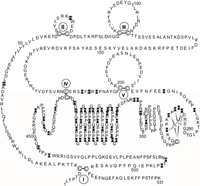 Biomolecules 04 00474 g003 200