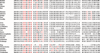 Biomolecules 04 00474 g004 200
