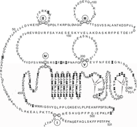 Biomolecules 04 00474 g005 200